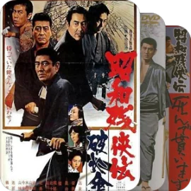 权哥电影合集2，持续更新……